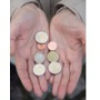 Börse Frankfurt-News: Verkaufswelle bei heimischen Aktien (Fonds) 28.01.2014 | Nachricht | finanzen.net